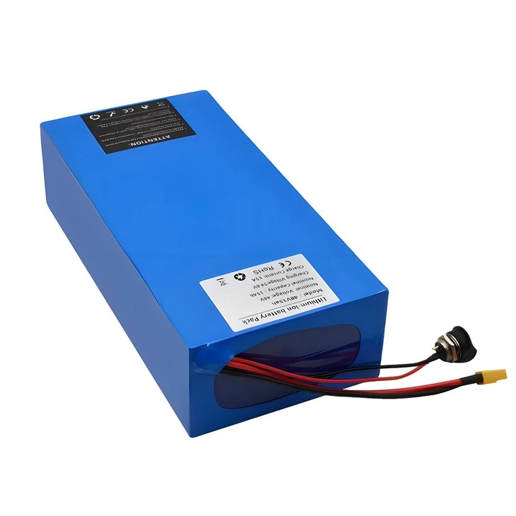 750w 1000w 2000w ইবাইকের জন্য কাস্টমাইজড ইবাইকের ব্যাটারি প্যাক 48V 52V 60V