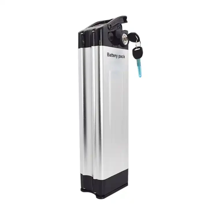 সিলভার ফিশ ব্যাটারি 36v
