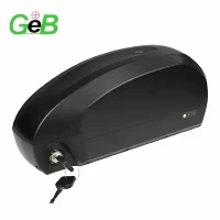 48 ভি 60 এএইচ ইবাইক ব্যাটারি